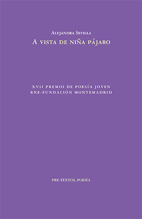 A VISTA DE NIÑA PÁJARO