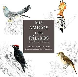 MIS AMIGOS LOS PÁJAROS