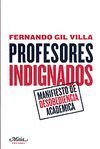 PROFESORES INDIGNADOS