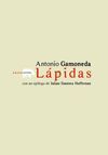 LAPIDAS