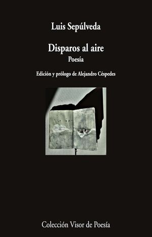 DISPAROS AL AIRE